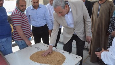 محافظ الغربية يتابع توريد ذهب الحقول بطنطا
