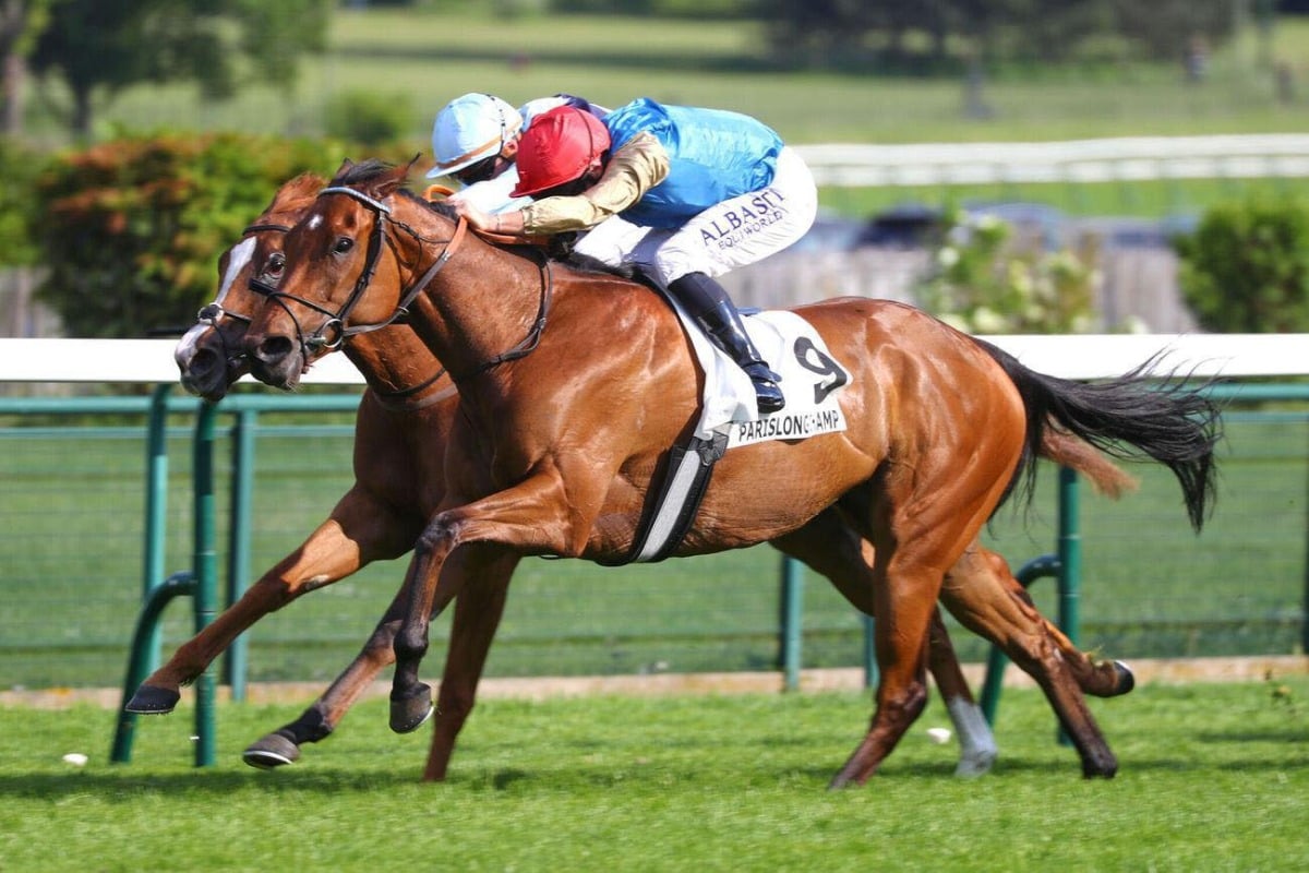 الخيل القطرية تواصل التفوق في السباقات الدولية بانتصارات جديدة