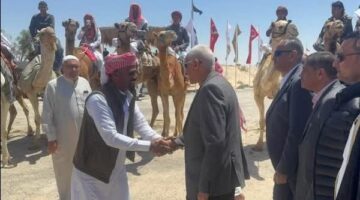 محافظ شمال سيناء يفتتح مهرجان الهجن بالعريش