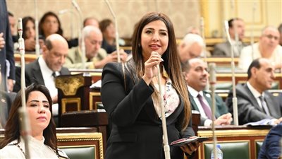 نشوى الشريف "نائبة التنسيقية": قانون الثروة المعدنية يحد من الإستيراد ويوفر 2 مليار دولار فاتورة إستيراد سنوية
