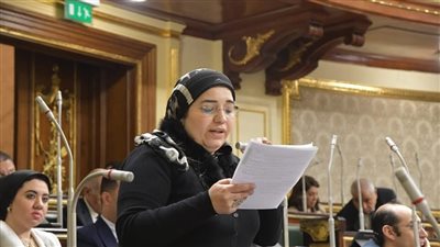 دعاء عريبى "نائبة التنسيقية": "الثروة المعدنية " يساهم فى دعم الإقتصاد وله أثر بالغ فى تطوير قطاع التعدين