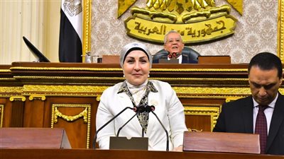 النائبة هالة أبو السعد: ضرورة إعفاء المواطنين من رسوم الرقم القومي للعقارات لضمان نجاح المشروع