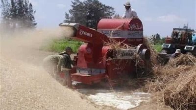"أكلتها الدراسة "… مصرع سيده من الشنويه أثناء دريس القمح