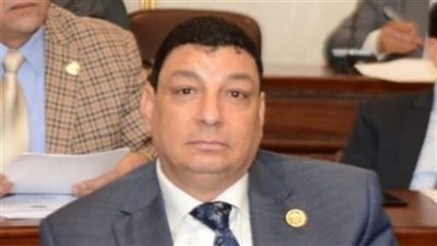 سامي نصر الله: تصريحات ترامب عن قناة السويس مرفوضة والقناة شريان سيادة وكرامة