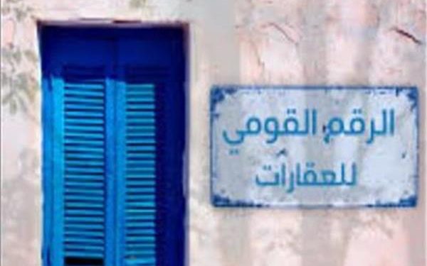 برلمانية: ضرورة إعفاء المواطنين من رسوم الرقم القومي للعقارات لضمان نجاح المشروع