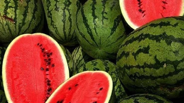 قبل ما تشتري.. علامات تحميك من تسمم البطيخ
