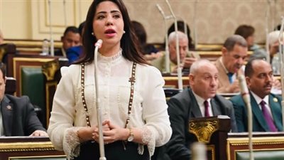 نائبة التنسيقية غادة على: قانون تعدين الثروات يضاعف من أهمية الاستراتيجية للثروة المعدنية على الصعيدين الداخلي والخارجي