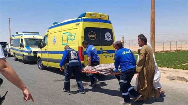 إصابة 4 أشخاص في حادث تصادم سيارة ملاكي بالمنيا