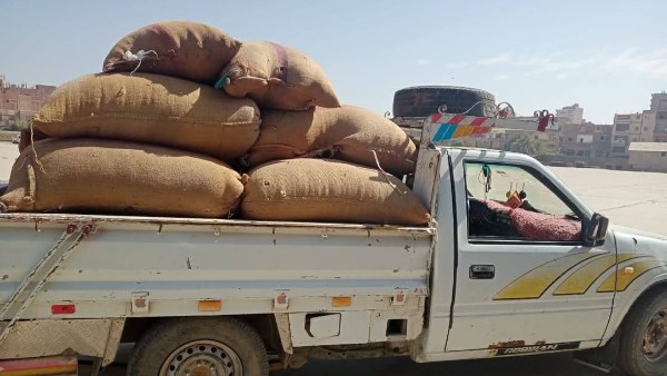 محافظ المنيا: توريد 77 ألف طن قمح للشون والصوامع ضمن موسم الحصاد