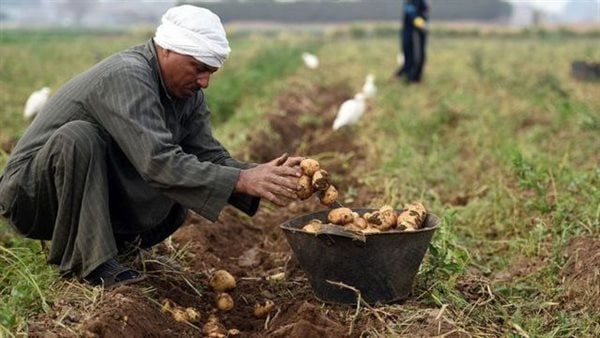 الجريدة الرسمية تنشر قرار اعتماد أوراق تأسيس النقابة العامة للفلاحين وصغار المزارعين