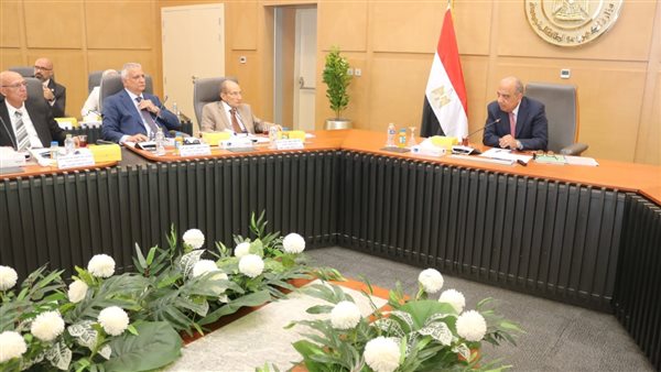 وزارة الكهرباء تعزز الاستثمارات بقرار فصل الشركة المصرية لنقل الكهرباء عن القابضة