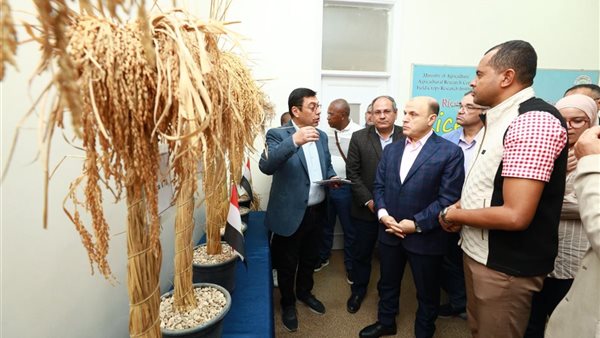 محافظ كفرالشيخ ووزير زراعة مدغشقر يناقشان التعاون في قطاع الزراعة والثروة الحيوانيّة