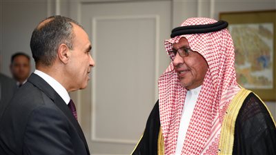 وزير الخارجية: يجب مواصلة التنسيق بين مصر والسعودية لمواجهة التحديات الإقليمية دعمًا لأمن المنطقة