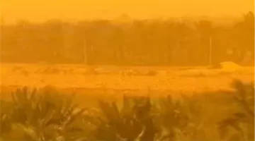 الزراعة تصدر توصيات للمزارعين للتعامل مع سوء الاحوال الجوية غدا