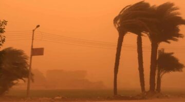 مصر.. تعطيل الدراسة في كافة المحافظات نظرا لسوء الأحوال الجوية غدا
