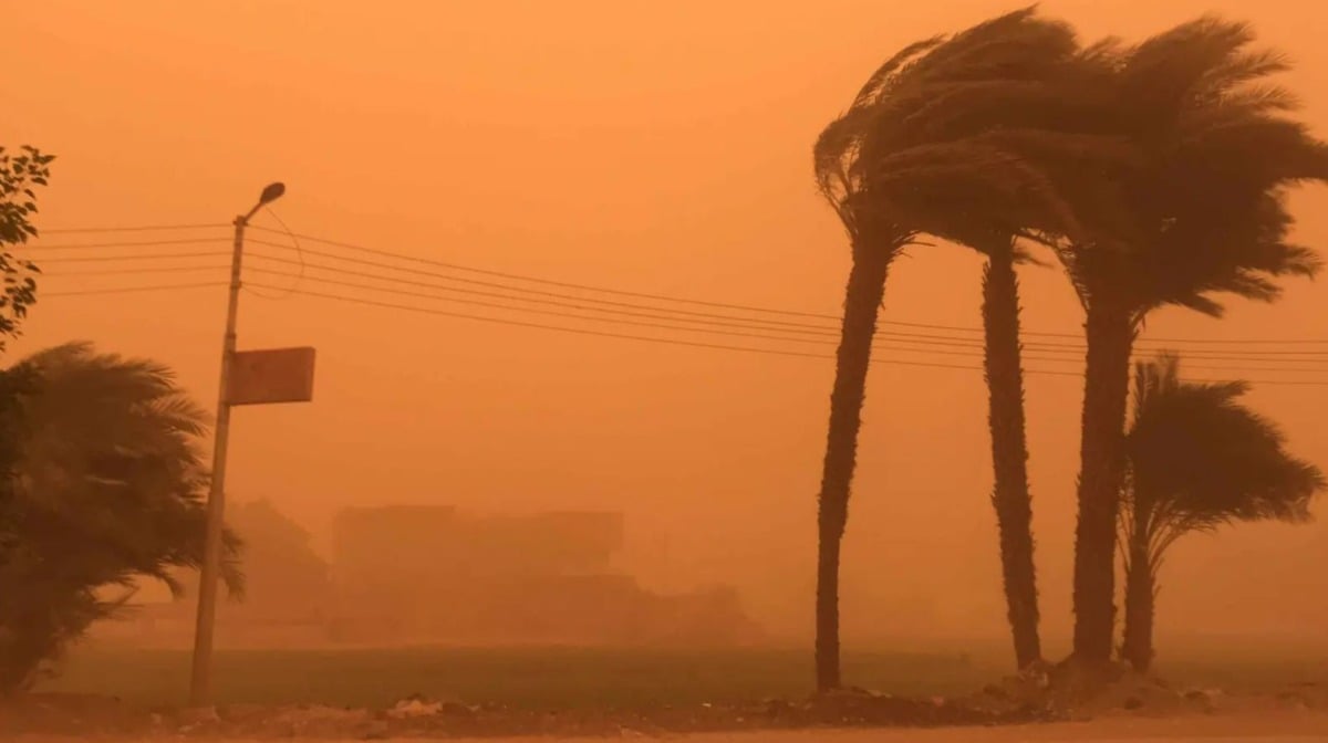مصر.. تعطيل الدراسة في كافة المحافظات نظرا لسوء الأحوال الجوية غدا