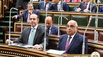 «بلادنا تستحق قانونًا جديدًا للإجراءات الجنائية يكفل الحقوق الدستورية».. المستشار محمود فوزي يشكر كل من ساهم في خروج القانون للنور
