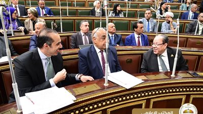 «يقضي على تضارب الملكية ويضبط السوق العقاري».. البرلمان يقر قانون إنشاء قاعدة بيانات الرقم القومي الموحد للعقارات بحضورالمستشار محمود فوزي