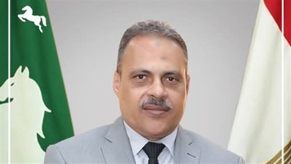 الشرقية ترفع حالة الطوارئ لمواجهة موجة الطقس العنيفة