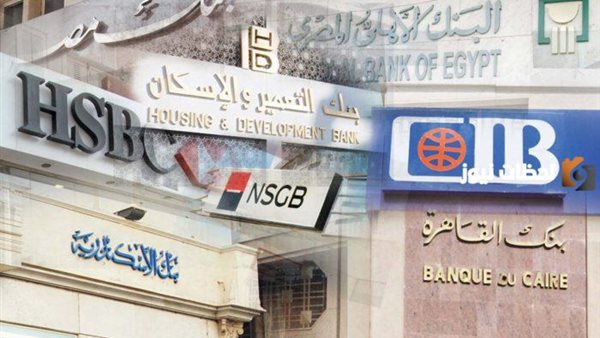 بعد خفض الفائدة.. أعلى شهادة ادخار بعائد يومي في مصر الآن