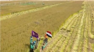 الموافقة على 419 طلب لإقامة مشروعات متنوعة من الانتاج الزراعي والحيواني والداجنى بالوادي الجديد