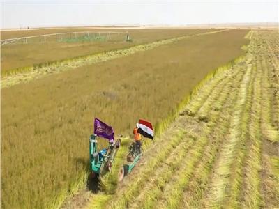 الموافقة على 419 طلب لإقامة مشروعات متنوعة من الانتاج الزراعي والحيواني والداجنى بالوادي الجديد