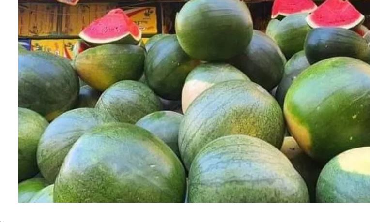 بعدما وصلت لـ250 جنيها.. شعبة الخضروات والفاكهة: سعر البطيخة يتراجع 130 جنيها.. والانخفاض مستمر