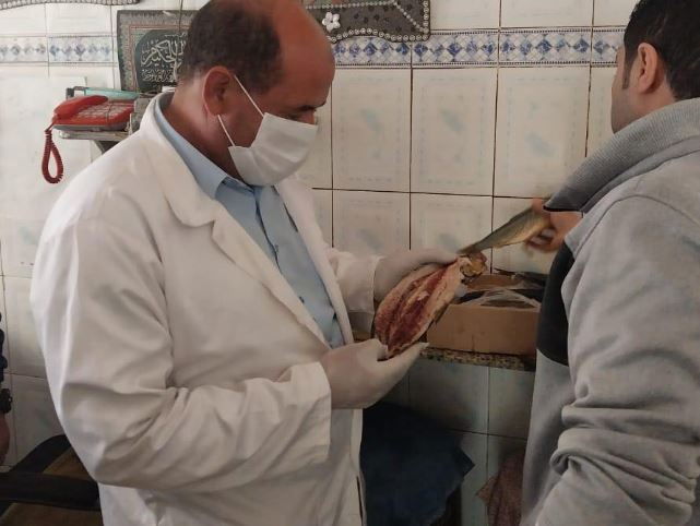 الطب البيطري بالغربية يضبط 8.5 طن أسماك مدخنة ومملحة غير صالحة للاستهلاك