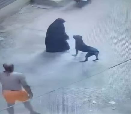 الداخلية تكشف ملابسات فيديو تضمن دفع شخص كلب للهجوم على سيدة