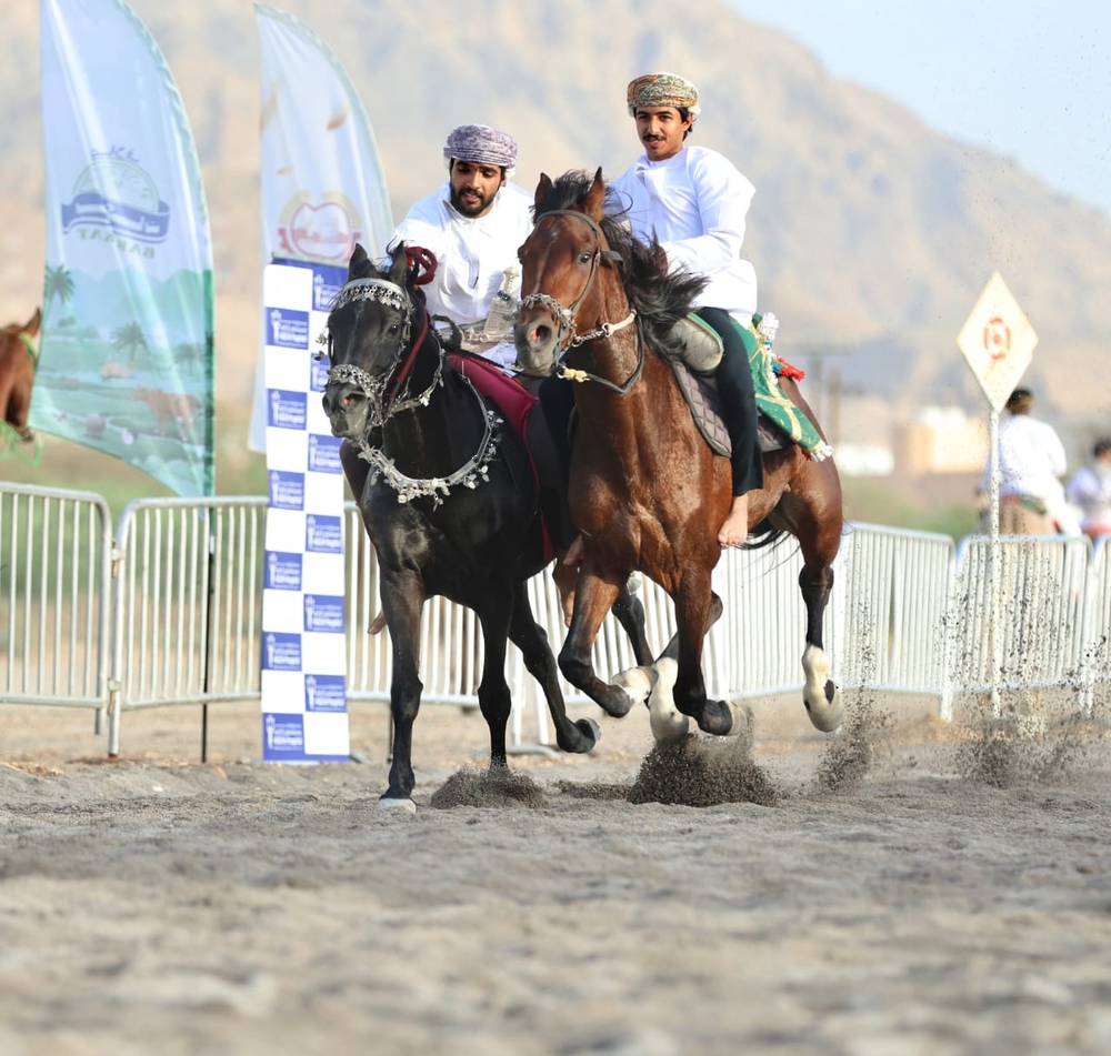 85 فارسًا وفارسة في عرضة الخيل التقليديّة ومهارات الفروسيّة بولاية العامرات