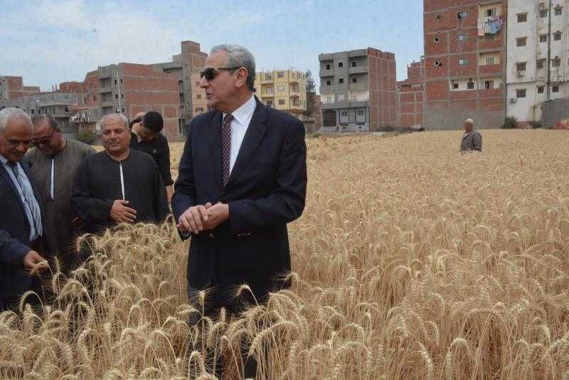 محافظ الغربية يشارك الفلاحين فرحة حصاد القمح ويتابع منظومة التوريد