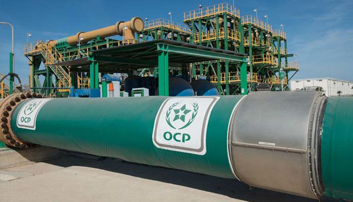 OCP تعزز حضورها المجتمعي في المغرب بـ200 مشروع تنموي و89 ألف مستفيد في 2024