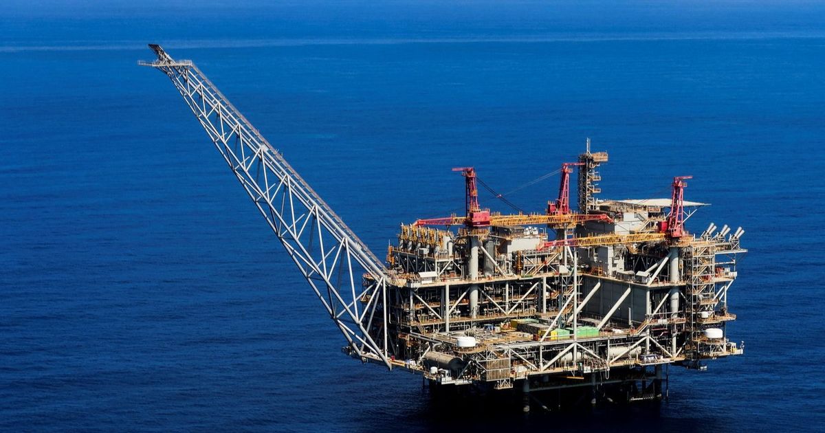زيادة واردات مصر من أسماك الرنجة خلال شهر يناير الماضي بنسبة 166.5%