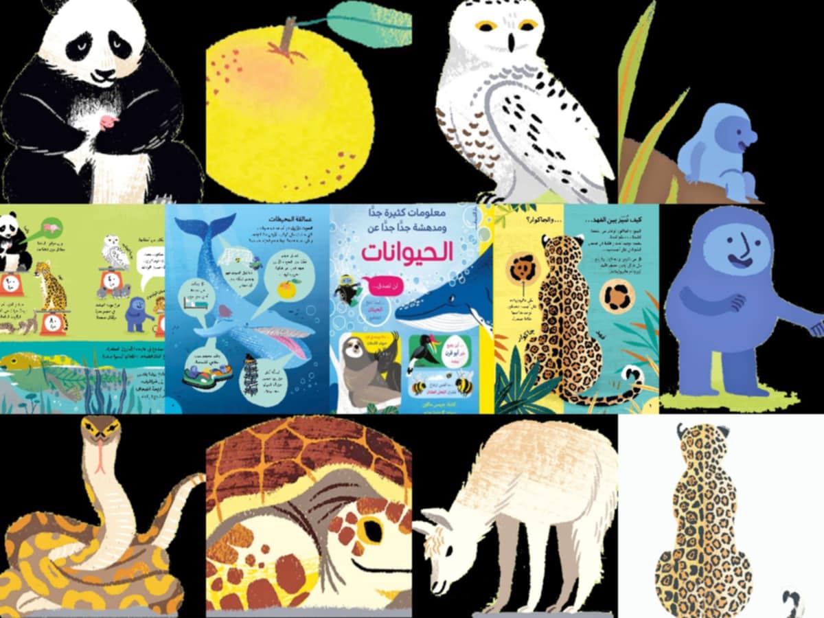 كتاب معلومات كثيرة جدا ومدهشة جدا جدا عن الحيوانات.. رحلة معرفية ساحرة كتاب معلومات كثيرة جدا ومدهشة جدا جدا عن الحيوانات.. رحلة معرفية ساحرة
