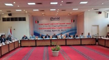 صبحي: انتخابات الاتحادات واللجنة الأولمبية الأخيرة الأنجح خلال فترة وزارتي