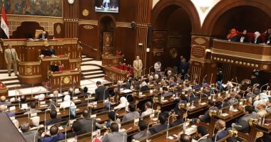 الأسبوع الجاري.. «الشيوخ» يناقش استراتيجية الدولة في إدارة أصول شركات قطاع الأعمال