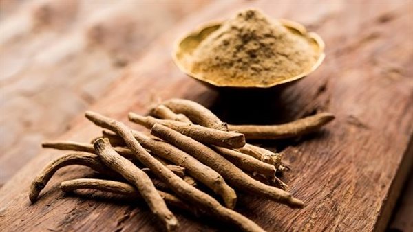 الأشواجندا.. كنز طبيعي لمقاومة التوتر واستعادة الحيوية