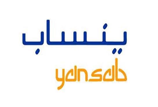 “الأهلي كابيتال”: الرسوم الجمركية عقبة أمام قطاعً البتروكيماويات السعودي وهذه توقعاتنا لأرباح”ينساب” حتى 2027 والسعر المستهدف للسهم