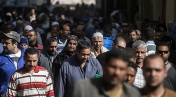 الإحصاء: 6.6% معدل البطالة السنوى عام 2024