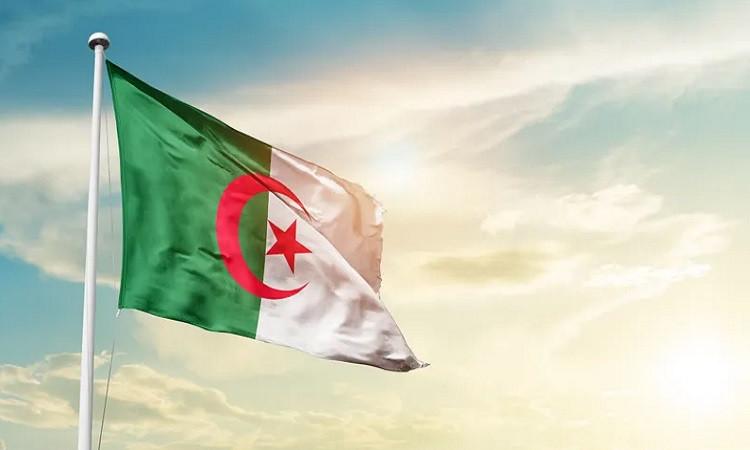 الجزائر تفوز بعضوية مجلس السلم والأمن للاتحاد الإفريقي