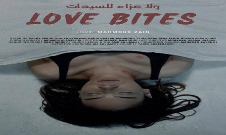 العرض الأول لفيلم "ولا عزاء للسيدات" بمهرجان أسوان الدولي لأفلام المرآة