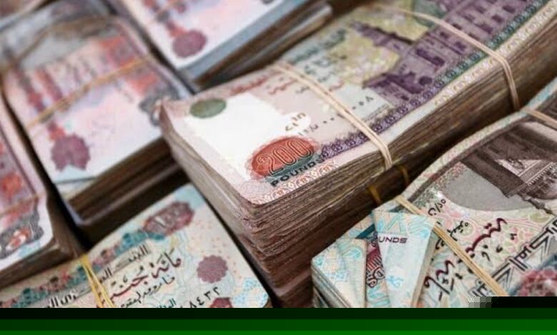 المالية: الإيرادات الضريبية تقفز لـ1.2 تريليون جنيه في 8 أشهر