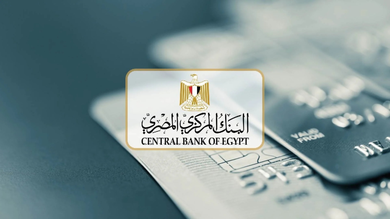 المركزي: البنوك ساهمت بـ3.9 مليار جنيه دعمًا للمشروعات الخدمية خلال عام 2024