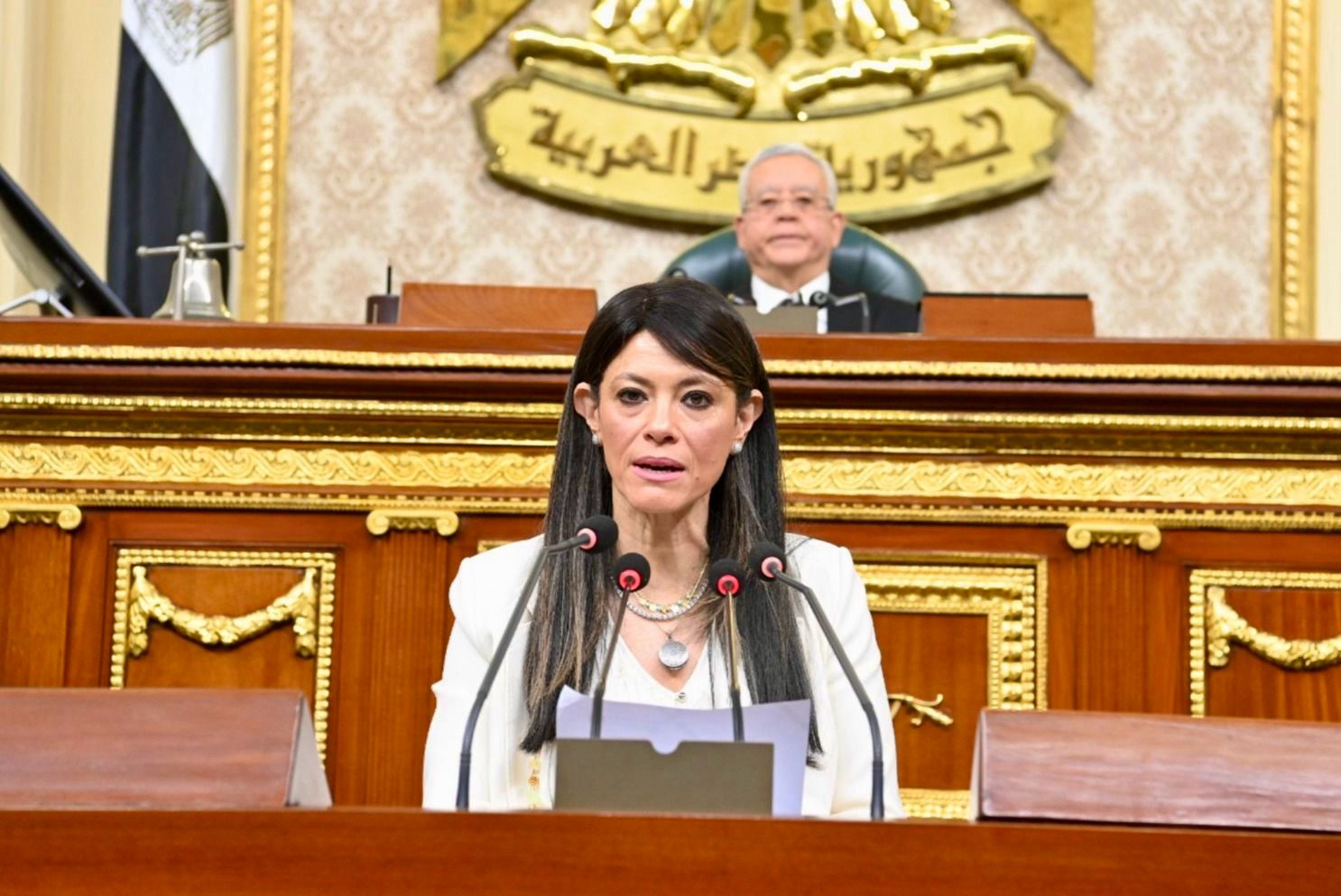 «المشاط»: 17.5 مليار جنيه استثمارات للزراعة والري العام المالي المقبل «المشاط»: 17.5 مليار جنيه استثمارات للزراعة والري العام المالي المقبل
