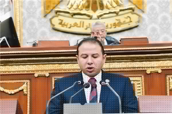 النائب حسن عمار: قانون الاجراءات الجنائية إنجاز حقيقي للبرلمان المصري لتعزيز الحقوق والحريات