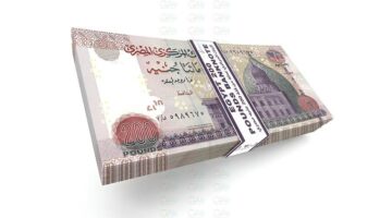 الودائع بالجنيه المصري تستحوذ على 65.7% من محفظة ودائع بنك QNB مصر بنهاية الربع الأول من 2025