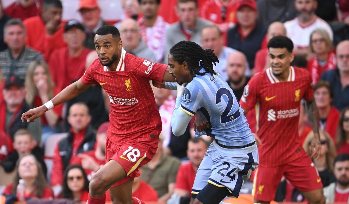 بالنيران الصديقة.. فيديو | ليفربول يُسجل الهدف الخامس أمام توتنهام في الدوري الإنجليزي