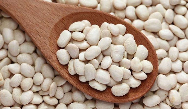 بقيادة الفاصوليا الجافة.. 15% نموًا فى صادرات مصر الزراعية الموسم الحالي بقيادة الفاصوليا الجافة.. 15% نموًا فى صادرات مصر الزراعية الموسم الحالي