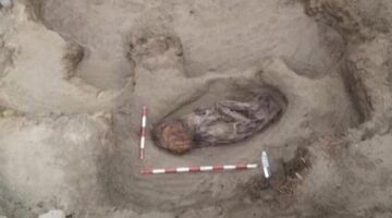 بيرو.. العثور على مومياء لامرأة عمرها 5000 عام