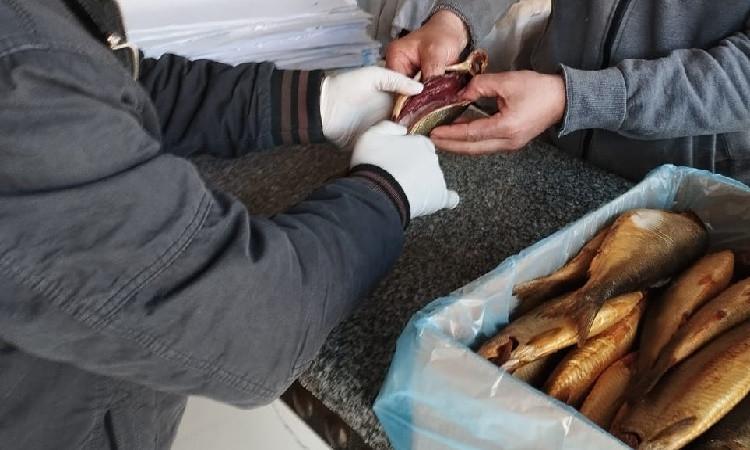 بيطري الغربية يضبط 8.5 أطنان أسماك مدخنة ومملحة غير صالحة للاستهلاك